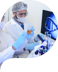 A team of scientists in a modern laboratory meticulously works o